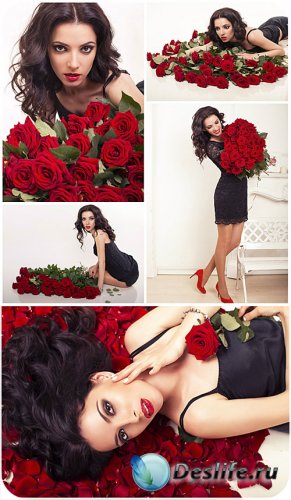    ,   / Girl in black dress, red roses - Stock Photo