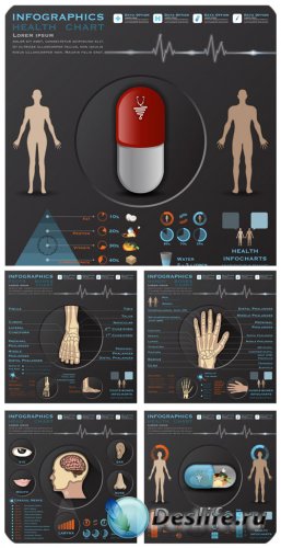 , ,    / Medicine, anatomy, infographics ...