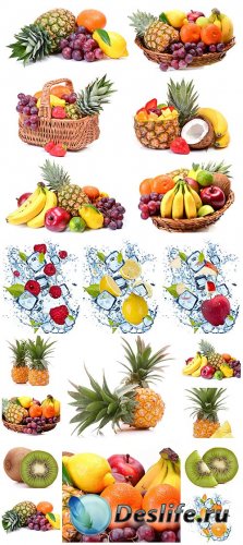 Фрукты и ягоды, экзотические фрукты / Fruits and berries, exotic fruits - S ...