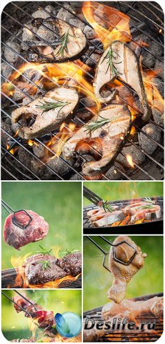      / Meat and fish on the grill - Stock photo