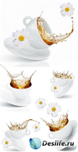       / Cup with tea and white daisies - Stock photo