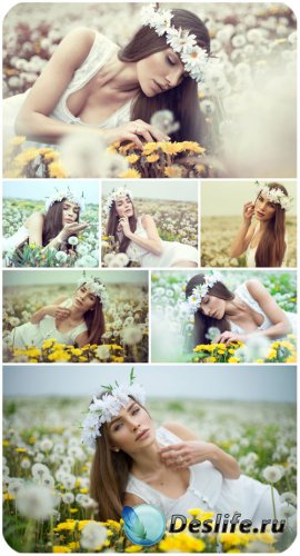      / Girl in a field with dandelions - Stock photo