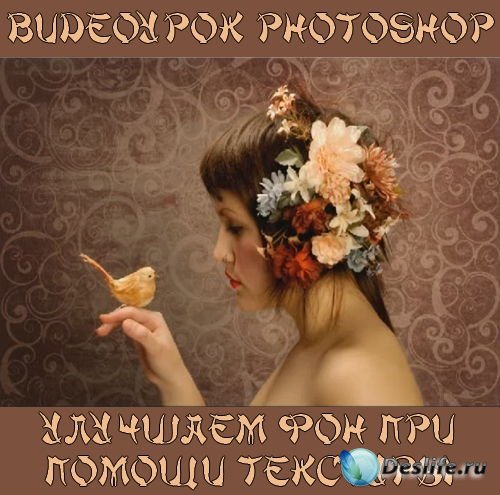  photoshop     