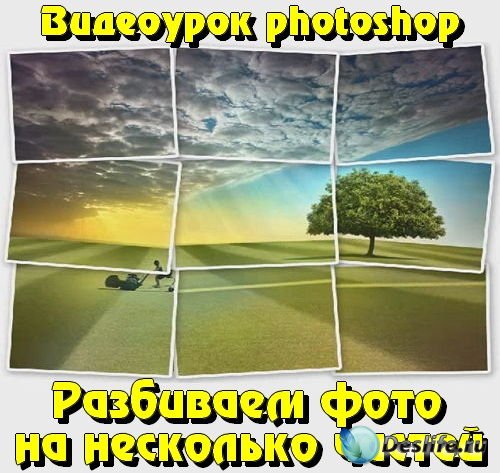  photoshop     