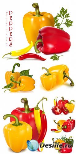       / Sweet and hot peppers in vector