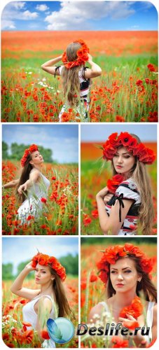     / Girl and red poppies - Stock photo