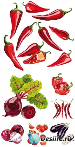   , , ,  / Vector vegetables, peppers, onions, tomatoes