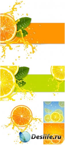   ,   / Orange and lemon, vector backgrounds