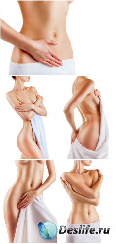   ,    / Beautiful female body, body care - Stock photo