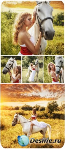   ,  / Girl with a horse, nature - Stock Photo