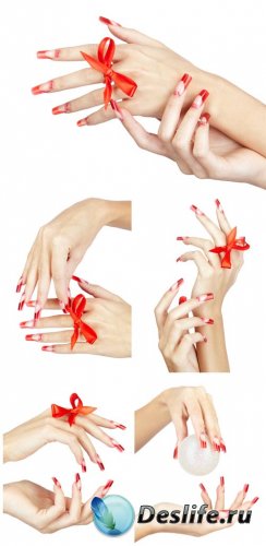  ,   / Female hands, beautiful manicure - Stock p ...