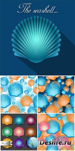    ,   / Vector Background with seashells ...