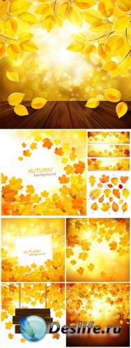     / Autumn backgrounds vector