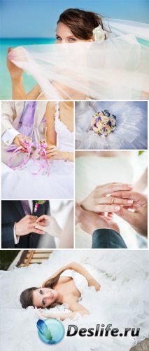  ,   ,  / Wedding collage - Stock photo