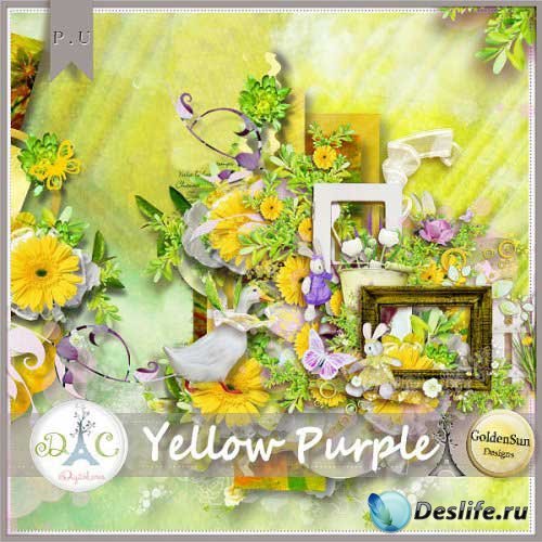  - - Yellow Purple 
