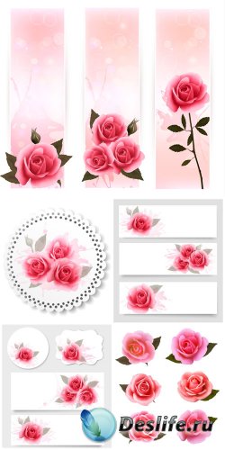 ,      / Roses, labels and banners vector
