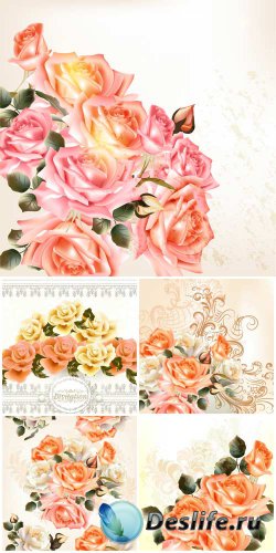 ,       / Roses, beautiful background with  ...