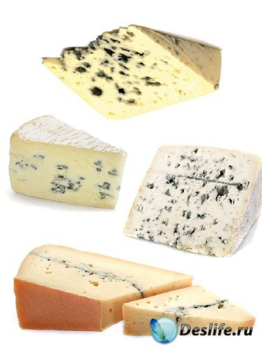 Молочная продукция: Сыр с плесенью (подборка изображений)