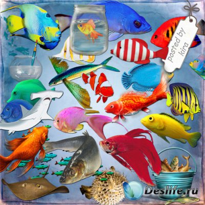 Морской клипарт - Разнообразные рыбки, акулы, аквариумы