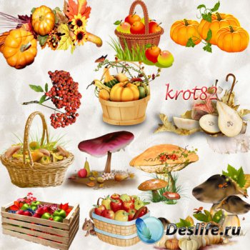 Осенний клипарт PNG  – Тыква, грибы, ягода, яблоки