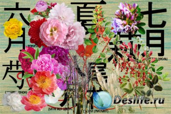 Клипарт Растения - японские символы летних месяцев