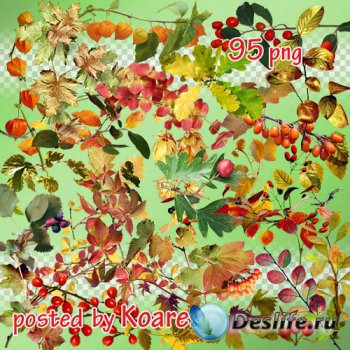Png клипарт - Осенние листья, ветки, ягоды