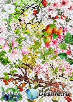 Tree branches, flowers, leaves png clipart part 2 - Ветки деревьев, цветы,  ...