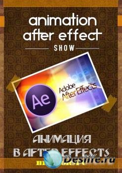   After Effects